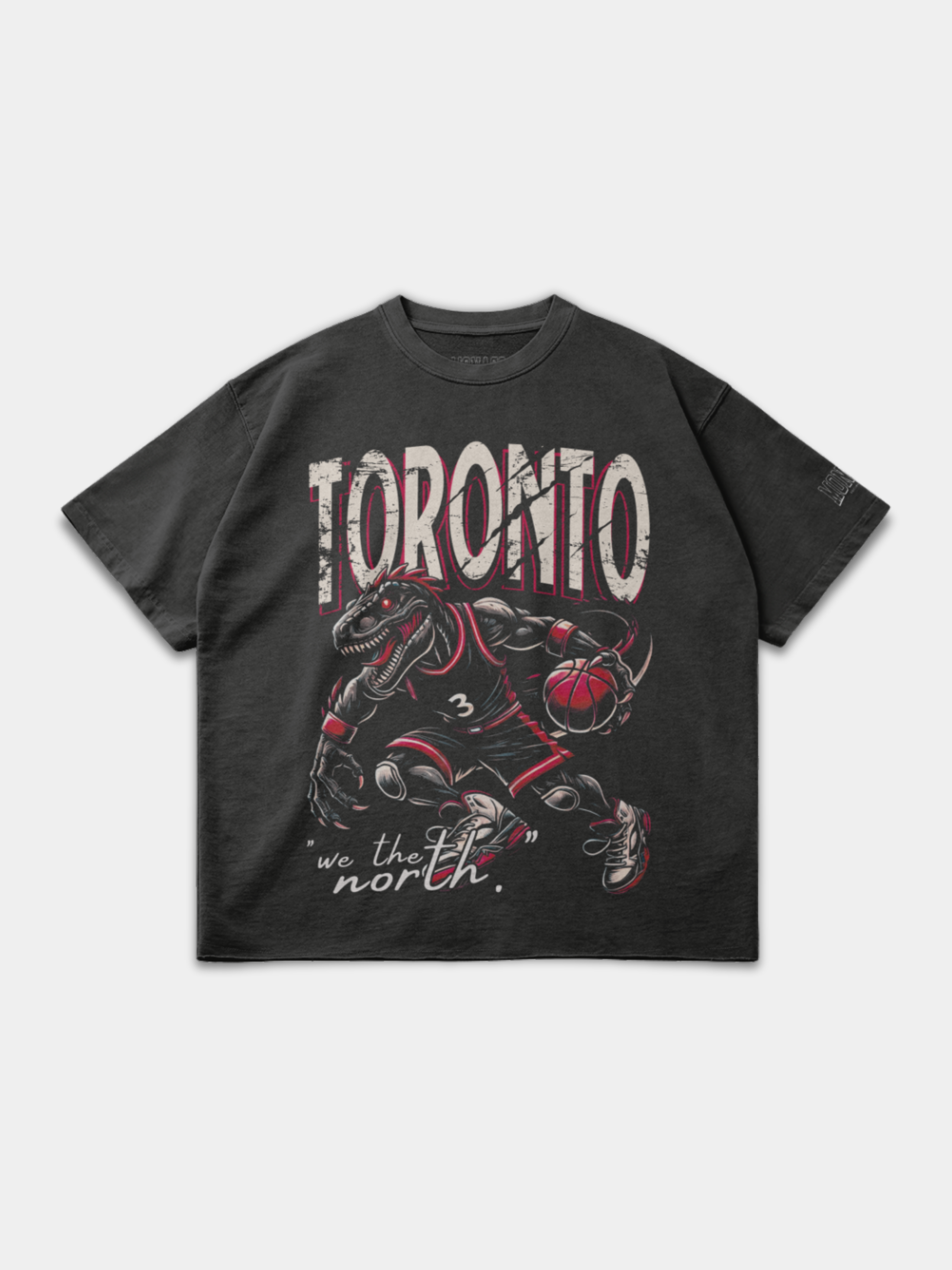 Toronto Merch TORONTO BASKETBALL TEE – Oversized Raptors Inspired Shirt | MSC ...